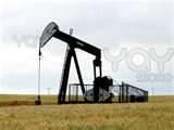 Images of Oil Pump
