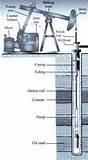 Oil Pump Diagram